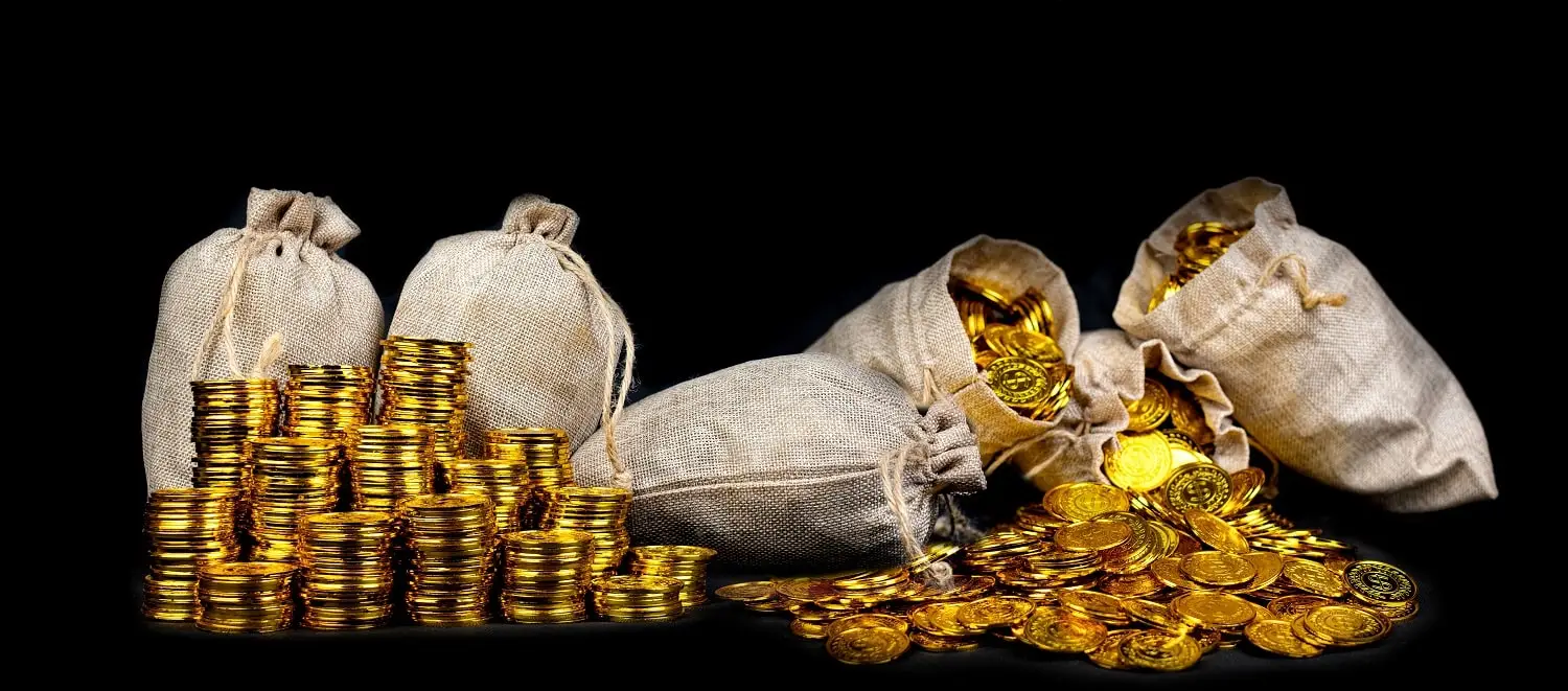 Photo of bags of gold coins