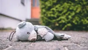 Photo of a broken, abandoned stuffed animal. Photo by Trym Nilson on Unsplash.