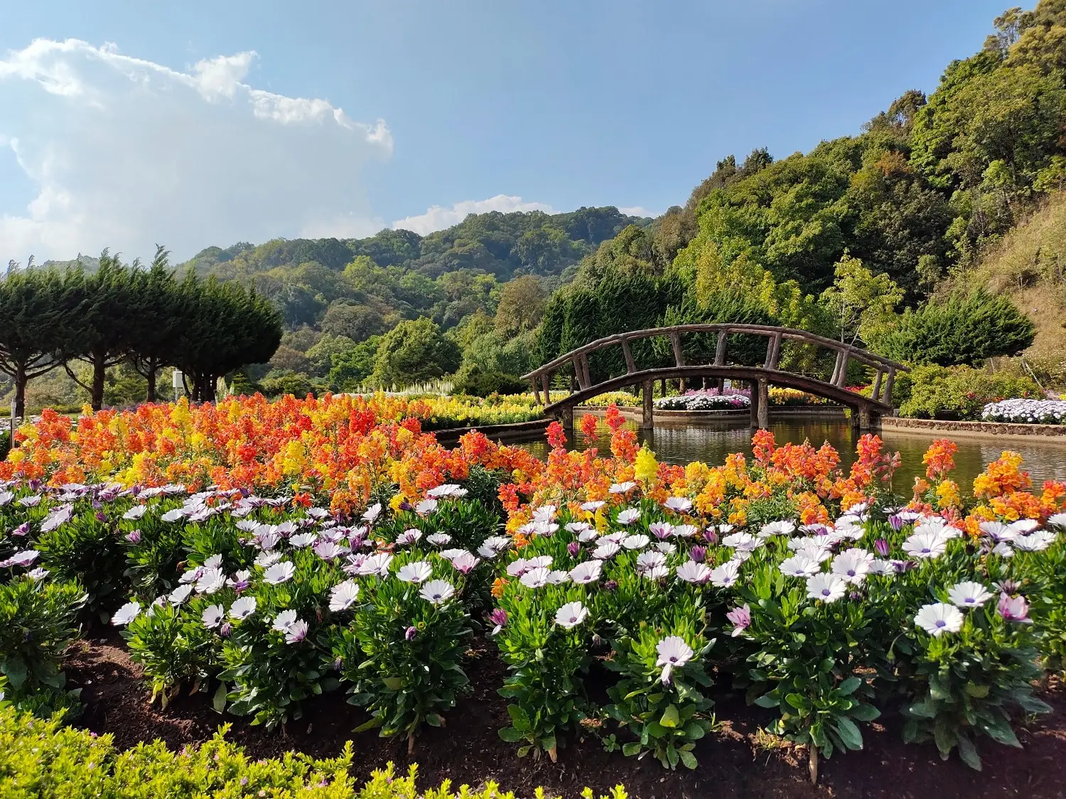 Photo of a flower garden taken by Matt Anderson on Unsplash.