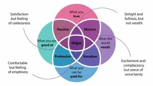Illustration of an ikigai diagram.
