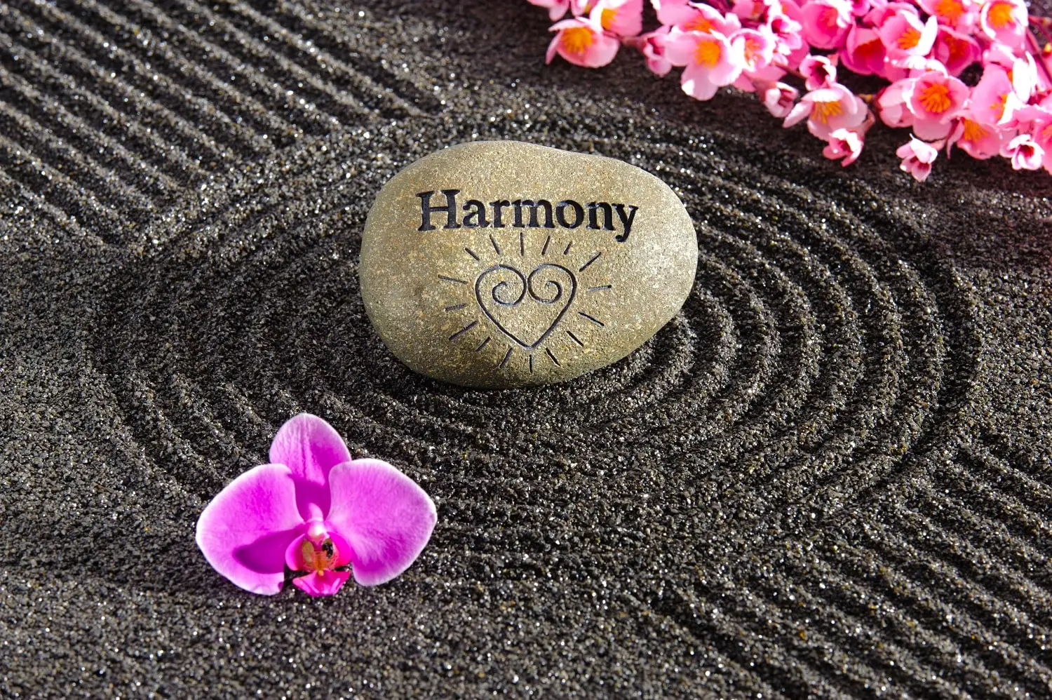 Photo of a Japanese zen garden promoting the concept of ikigai.