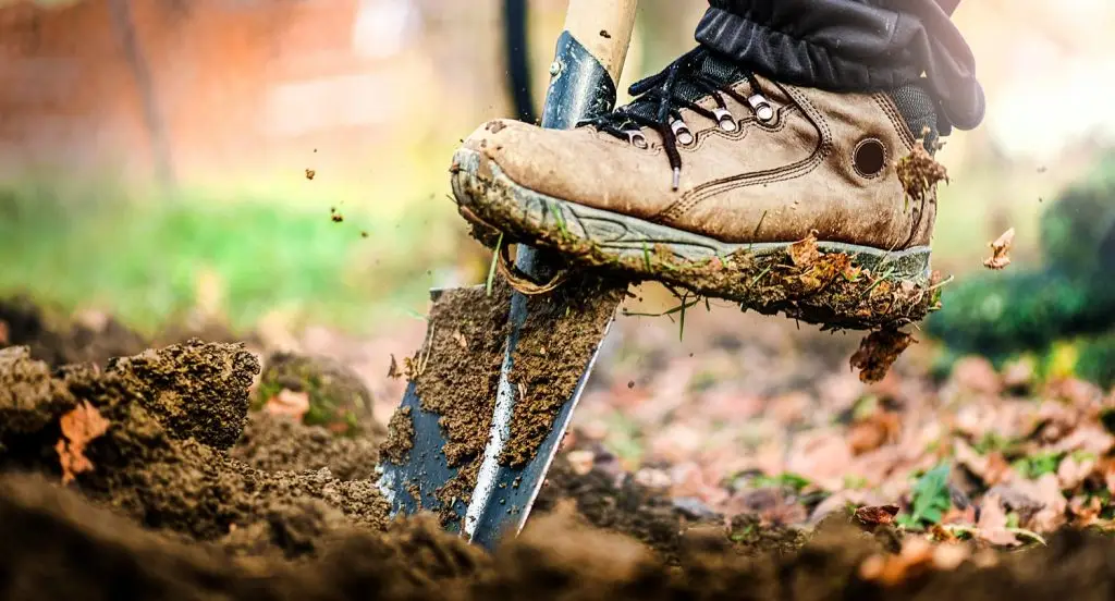 Photo of a man digging a hole by using a shovel.