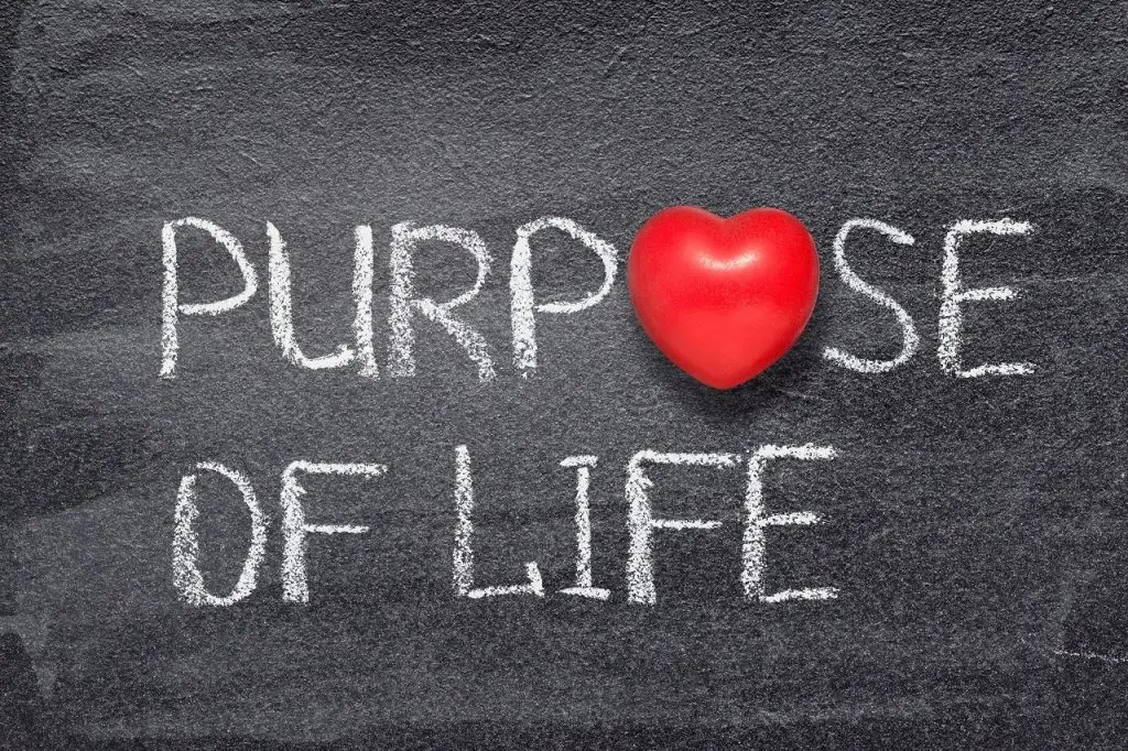 Words "Purpose of Life" written on a chalkboard.