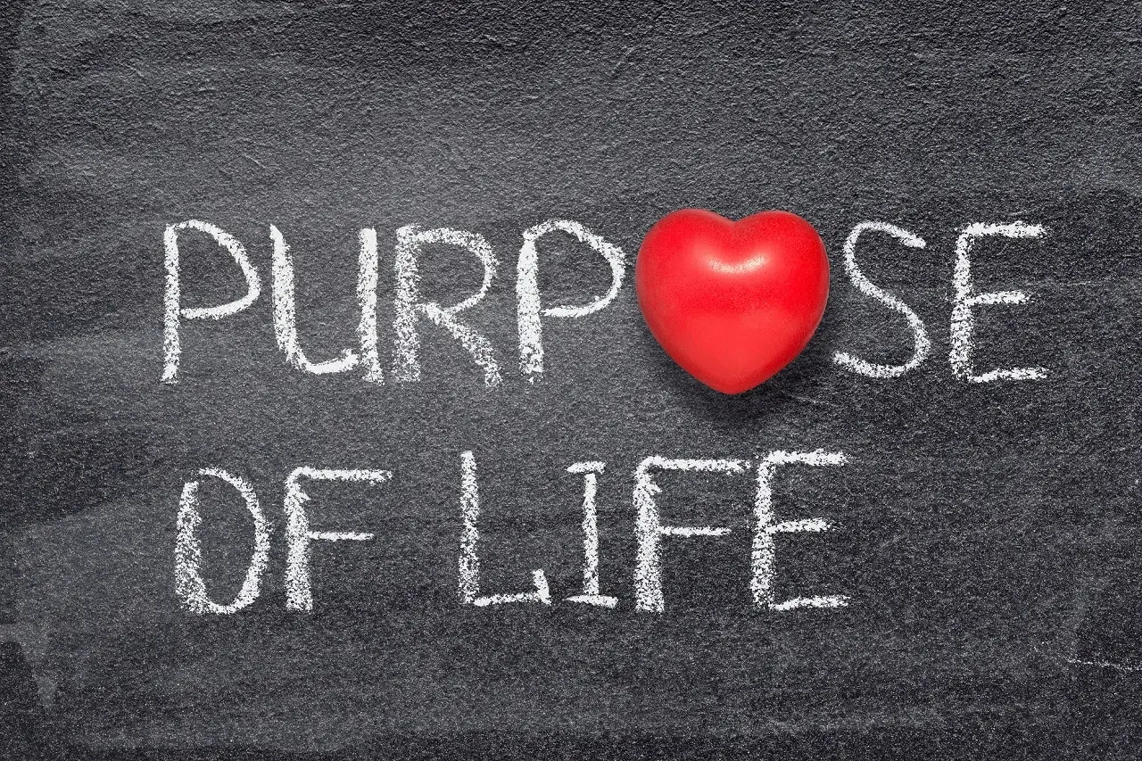 Words "Purpose of Life" written on a chalkboard.