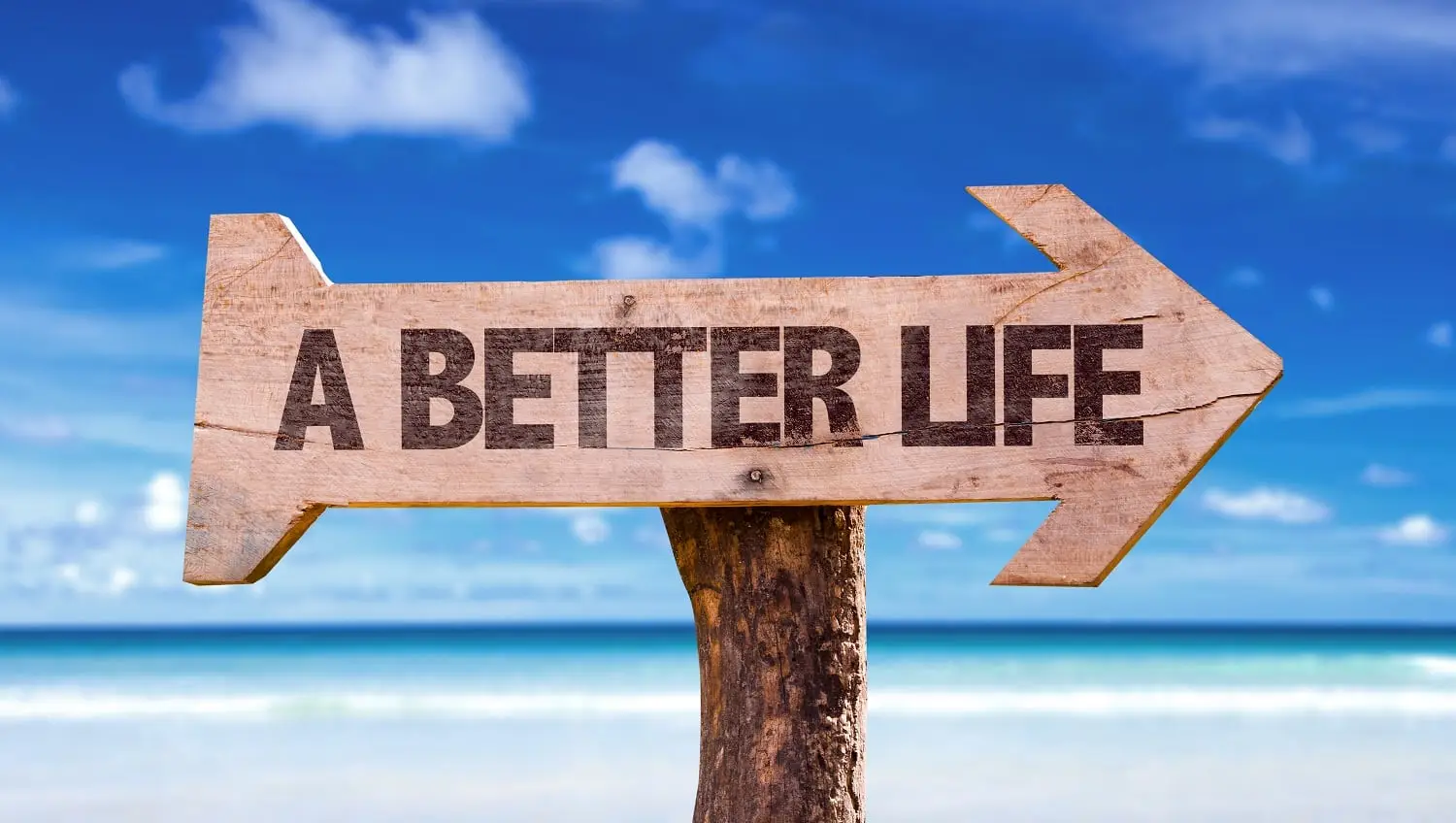 Photo of a sign pointing the way to a better life.