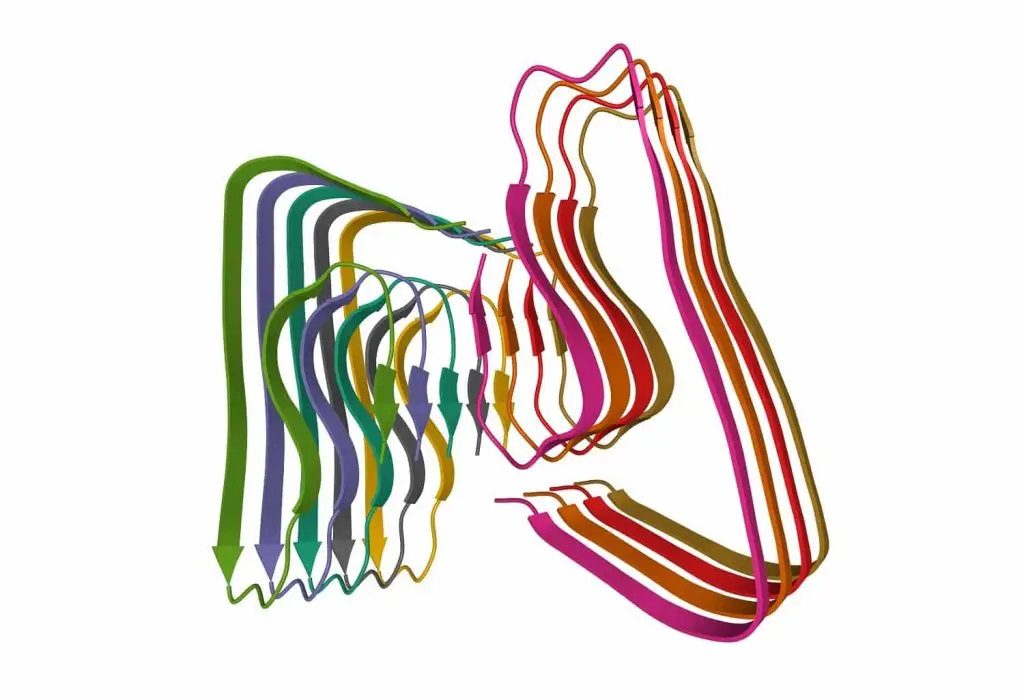 3-D image of any amyloid-beta