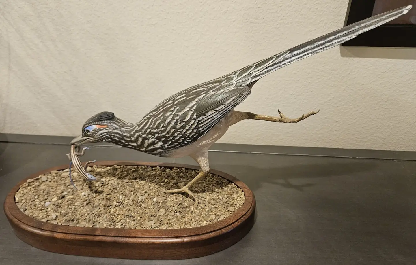 Photo of a roadrunner hand-carved by my uncle, Steve Field.