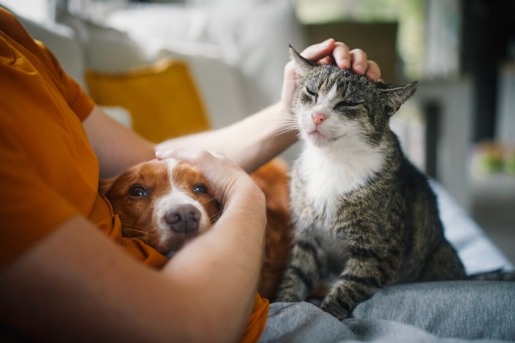 Studies show that owning pets can extend your life and increase your joy.